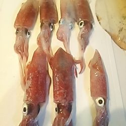 ケンサキぃょぃょスタートか!?