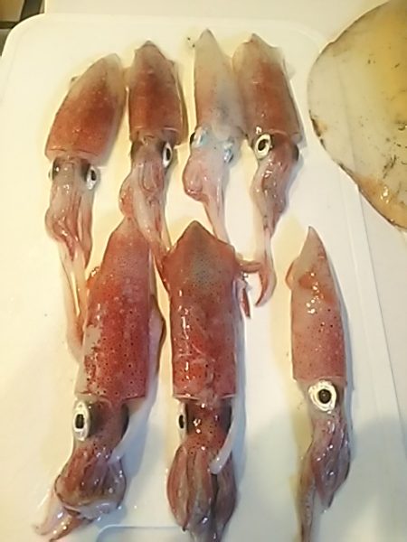 ケンサキぃょぃょスタートか!?