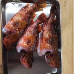 自己新！！かと思いきや