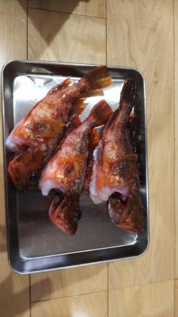 自己新！！かと思いきや