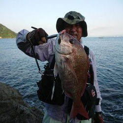 チニング&ロックフィッシュ