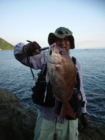 チニング&ロックフィッシュ