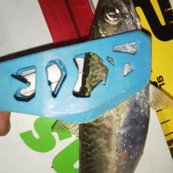 マズメアジング