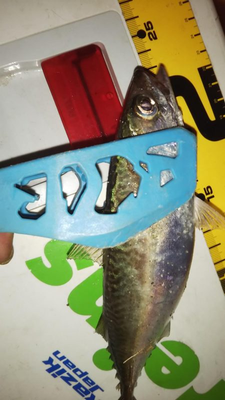 マズメアジング