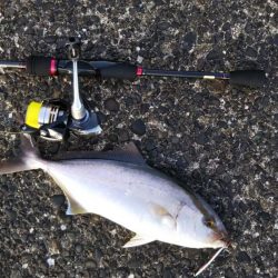 八丈島スーパーショアジギング