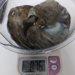 お盆休み最終釣行!