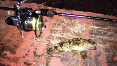 新ロッドのシェイクダウン1:00~3:30…