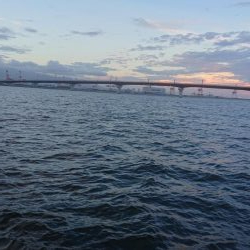 神戸空港でショアジギ