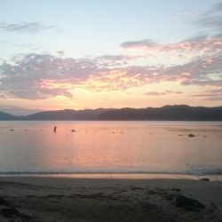 相方と久々ソルトゲーム