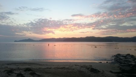 相方と久々ソルトゲーム