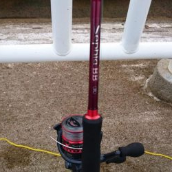 今日は子どもと一緒に