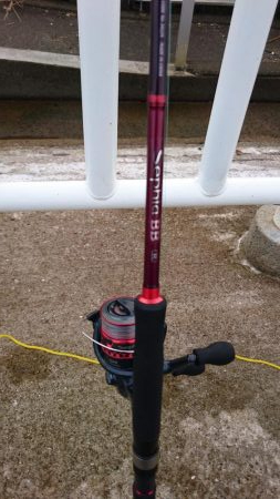 今日は子どもと一緒に