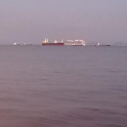 アジは絶好調  タチウオはまだ