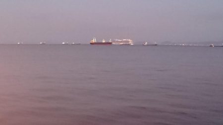 アジは絶好調  タチウオはまだ