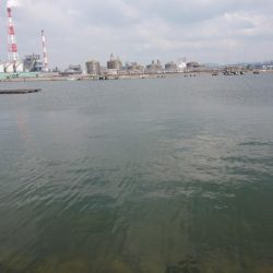 夏キス・・・とハゼ