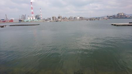 夏キス・・・とハゼ