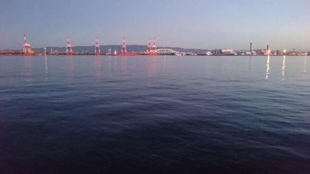 癒しのアジとタチウオ調査