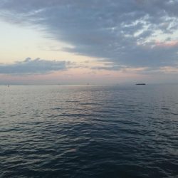 タチウオ今シーズン1匹目!!