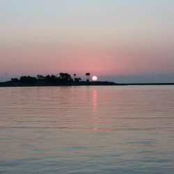 志筑川でキス釣り