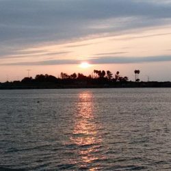 久々に快適な釣行でした