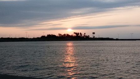 久々に快適な釣行でした