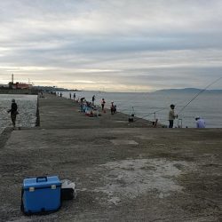 久々の播磨新島へキス釣査