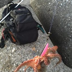 今日も取ったぞー！③