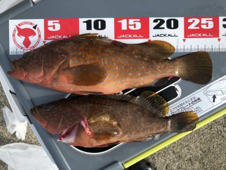 直江津ハッピーにて