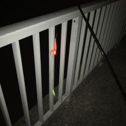 サバにやられて。