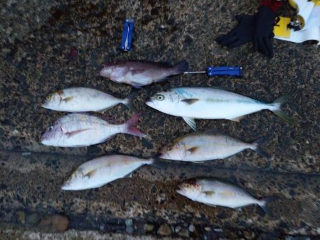 久々に実家で釣り2