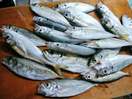 今年最後のドラゴン！？