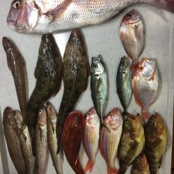 暑い中　ジギング　タイラバ