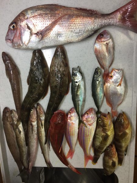 暑い中　ジギング　タイラバ