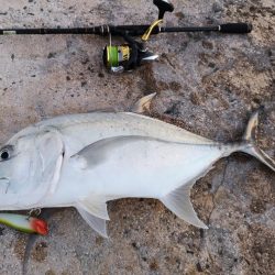 自作ポッパーでロウニンアジ