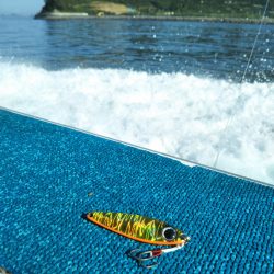 松山沖で鯛ラバ苦戦