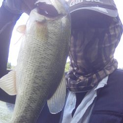 ディープからドン!