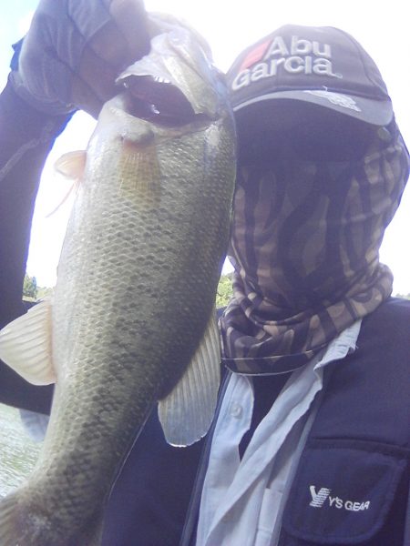 ディープからドン!