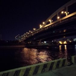 南港フェリーヘチ釣り （渋い！小キビレ、根魚釣果）