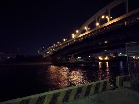 南港フェリーヘチ釣り （渋い！小キビレ、根魚釣果）