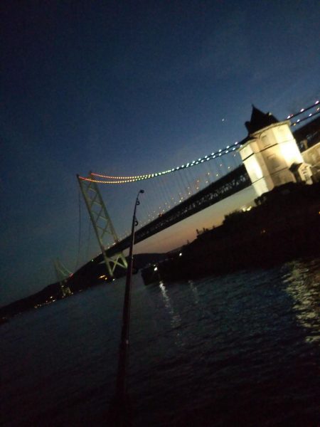 アジュール舞子でサビキ&ケンサキ