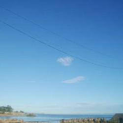 あおりいか　順調に釣れてます！