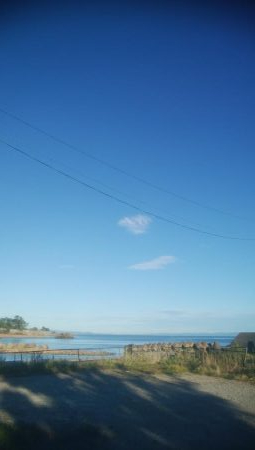 あおりいか　順調に釣れてます！