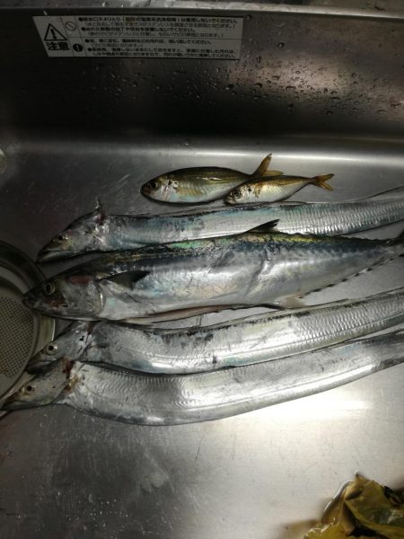 風のなかのショアジギング