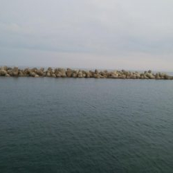 アオリイカ15杯！　自作エギでも釣れた！