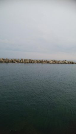 アオリイカ15杯！　自作エギでも釣れた！