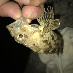 青流して自己記録更新！