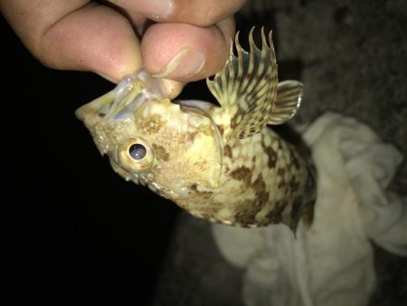 青流して自己記録更新！