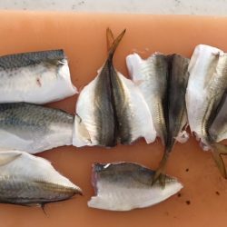 コスモタコ終了？