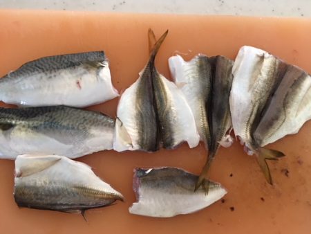 コスモタコ終了？