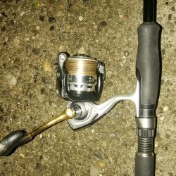 新子がきた～～！